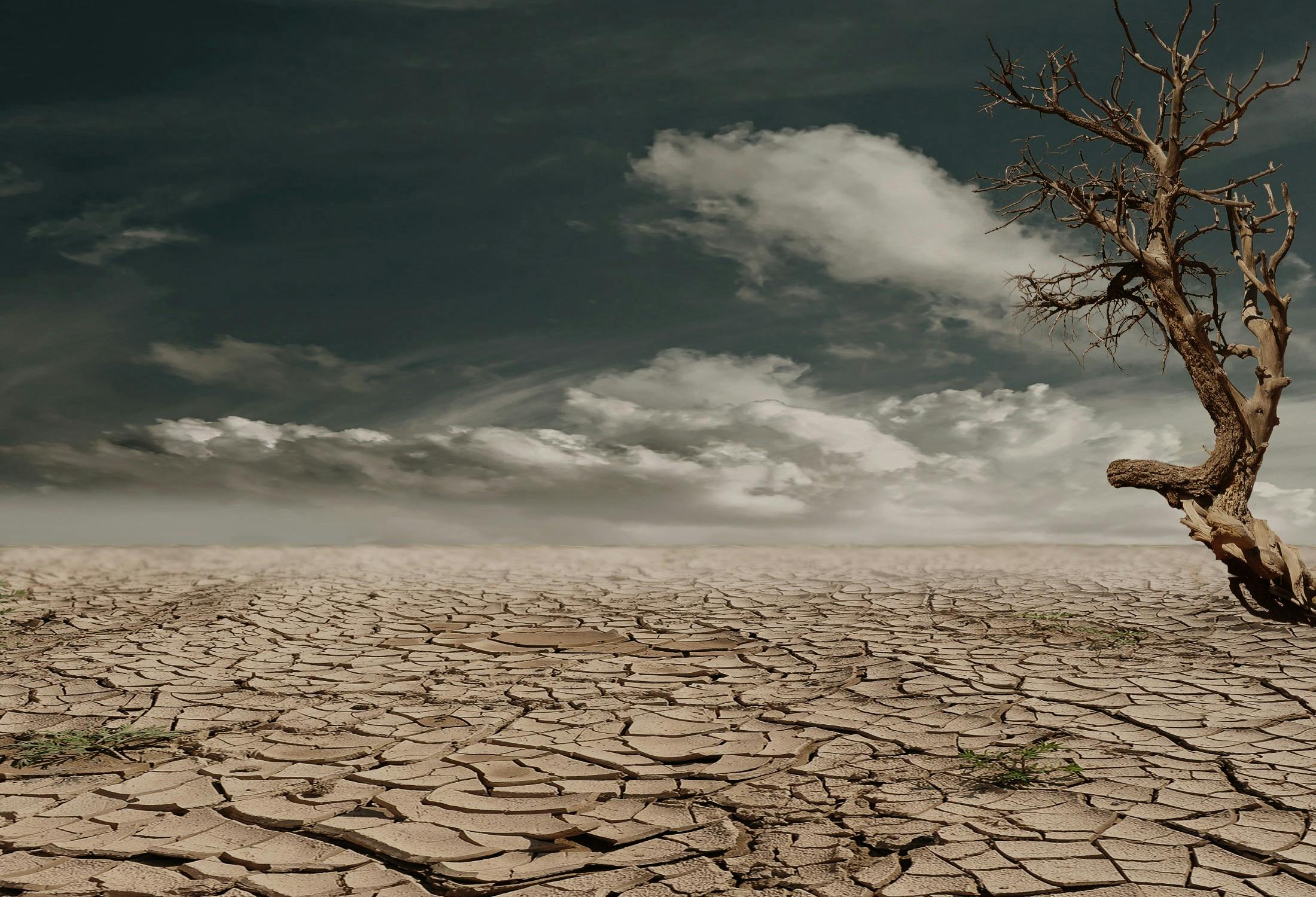 Mudanças climáticas e dor